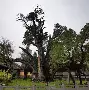 开云体育官网-嵩山雷霆队鏖战徽州金雕队，拉力赛友谊赛小胜，替补奇兵立功。中场绞杀压制对手